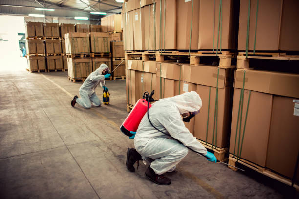 Professional Pest Control in Hamilton, IN