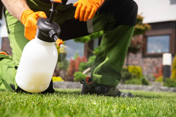 Best Best Pest Control Companies  in Hamilton, IN