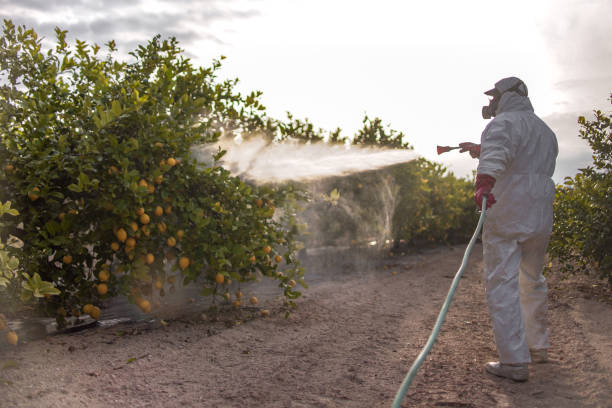 Best Pest Control Near Me in Hamilton, IN