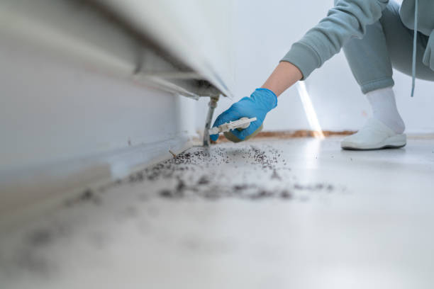 Best Residential Pest Control  in Hamilton, IN
