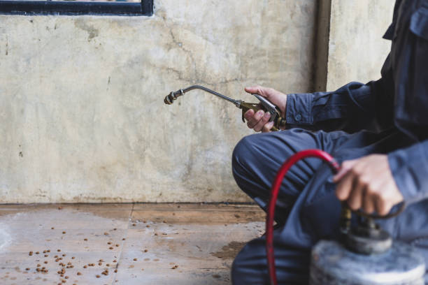 Best Affordable Pest Control Services  in Hamilton, IN